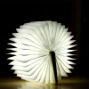 مصابيح الدايود المبتعث للضوء، والمصابيح الضوئية الخشبية Application Scenario